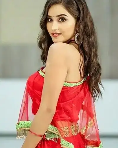 Call Girls Service Mehnagar